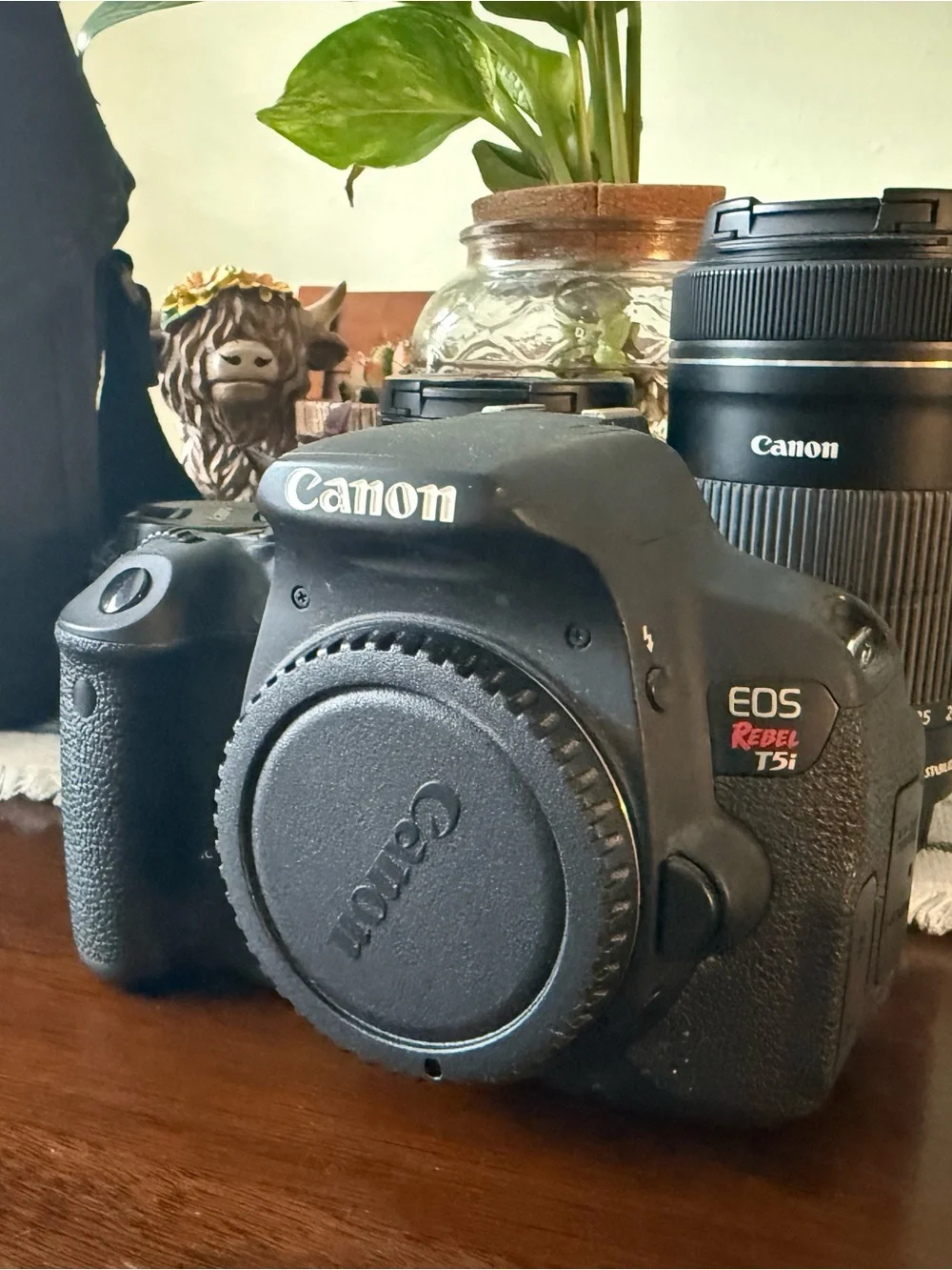 Canon EOS Rebel T5i DSLR Camera Body and lens